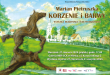 Korzenie i barwa