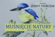 Józefy Stańczak „Muśnięcie natury”