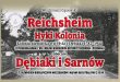 Reichsheim 1782-1945 kolonia niemiecka wsi Hyki i Dębiaki obecnie Sarnów i Dębiaki